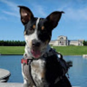 Meet your Posher, Jeffrey